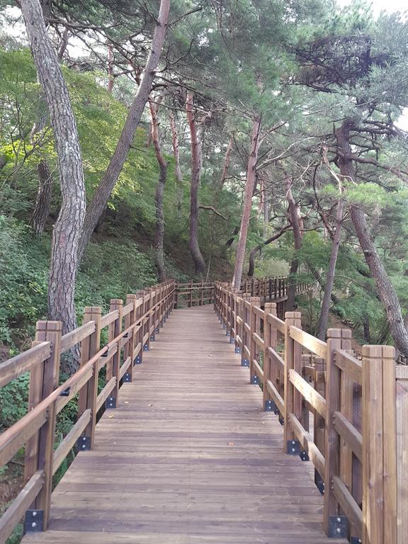 Pyeongchang River House Exterior foto