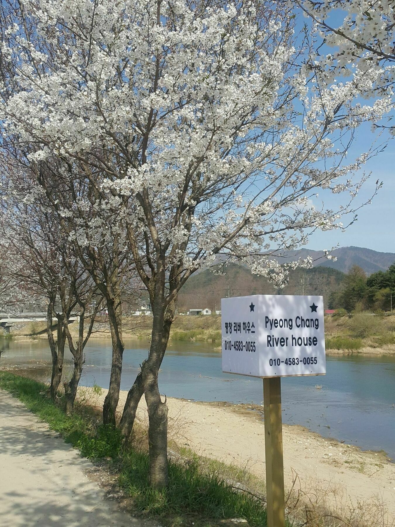 Pyeongchang River House Exterior foto